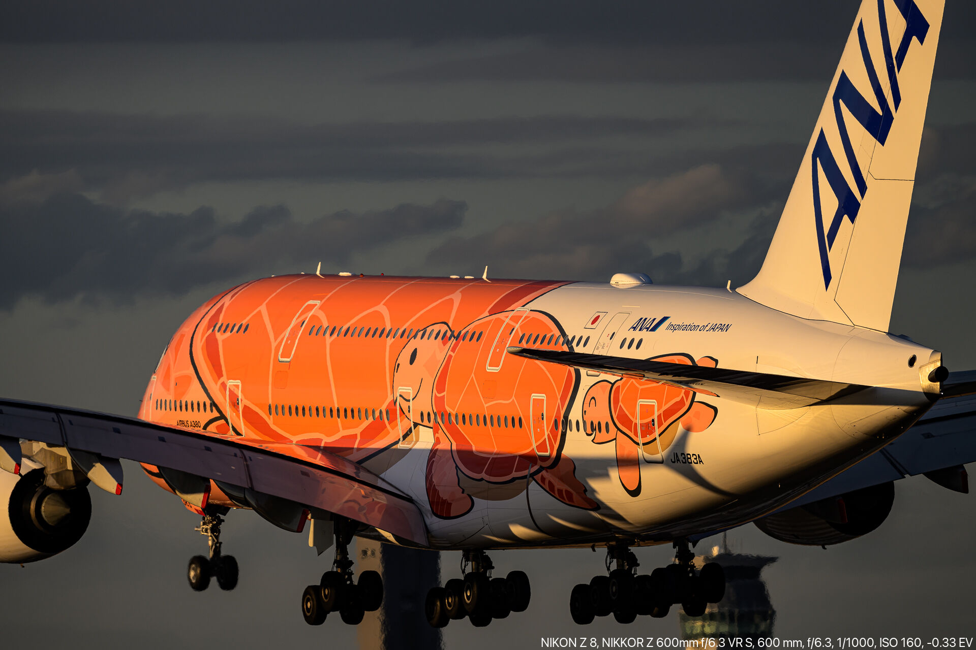 EVA航空 Aviationtag B747-400 特殊部位ロゴカット EVA航空