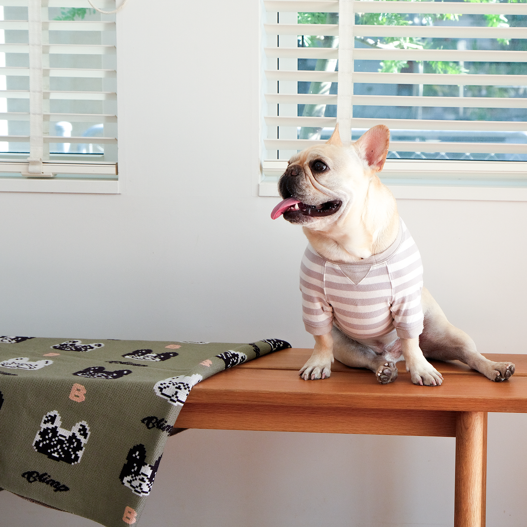 4BUHI Blanket – フレンチブルドッグ服 BLIMP ブリンプ