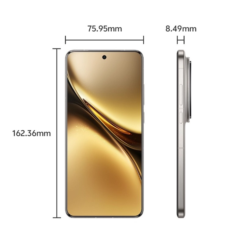 Vivo X200 Pro 16GB+512GB Titanium