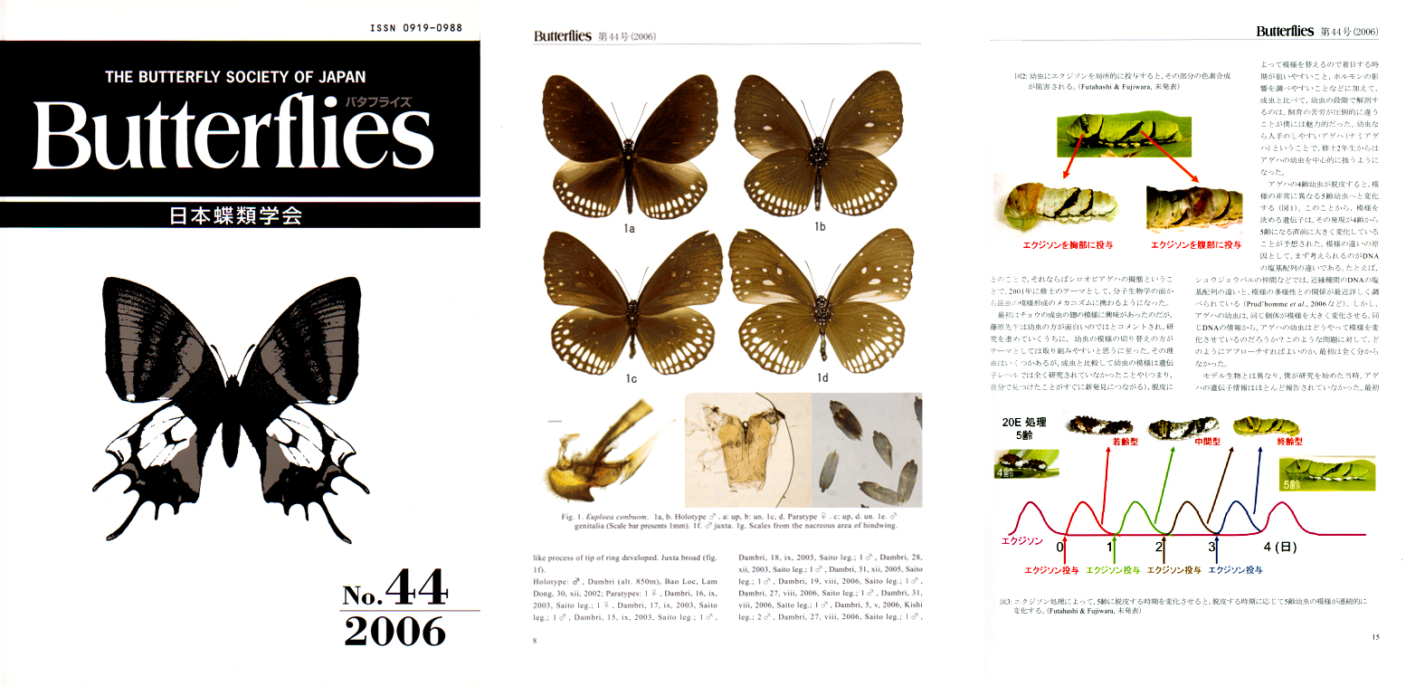 桔梗に蝶図】榊原苔山 2556 キキョウにチョウ掛け軸肉筆