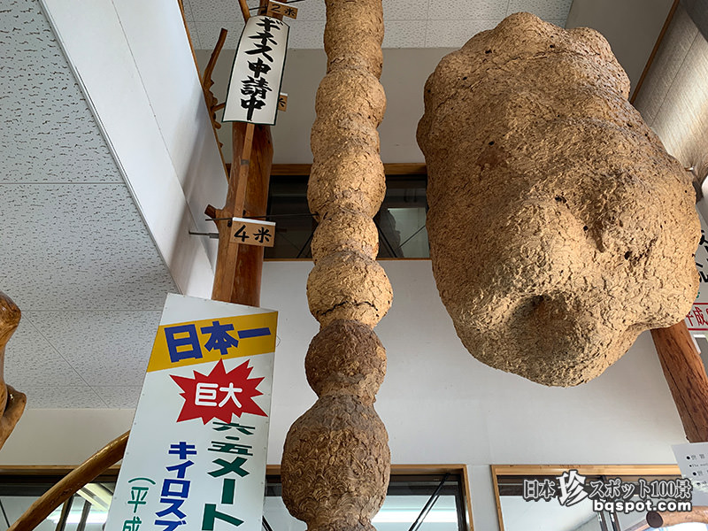 超有名珍スポット博物館と世界一の巨大蜂の巣アート「蜂天国」【長野