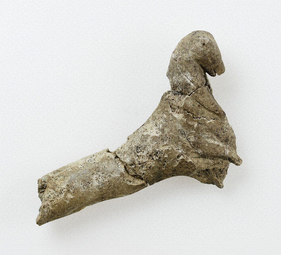 クマ形彫刻のある角器 文化遺産オンライン