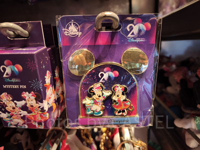 香港ディズニーランド ピンバッジ リミテッドエディション LE500 2個