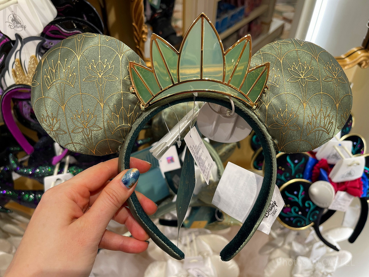 ファンタジースプリングス 】アナと雪の女王アートフレーム＆アナの