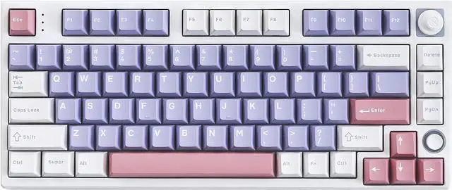 80 Keys 75% Mechanical Keyboard, RGB Backlit Hotswap Wireless