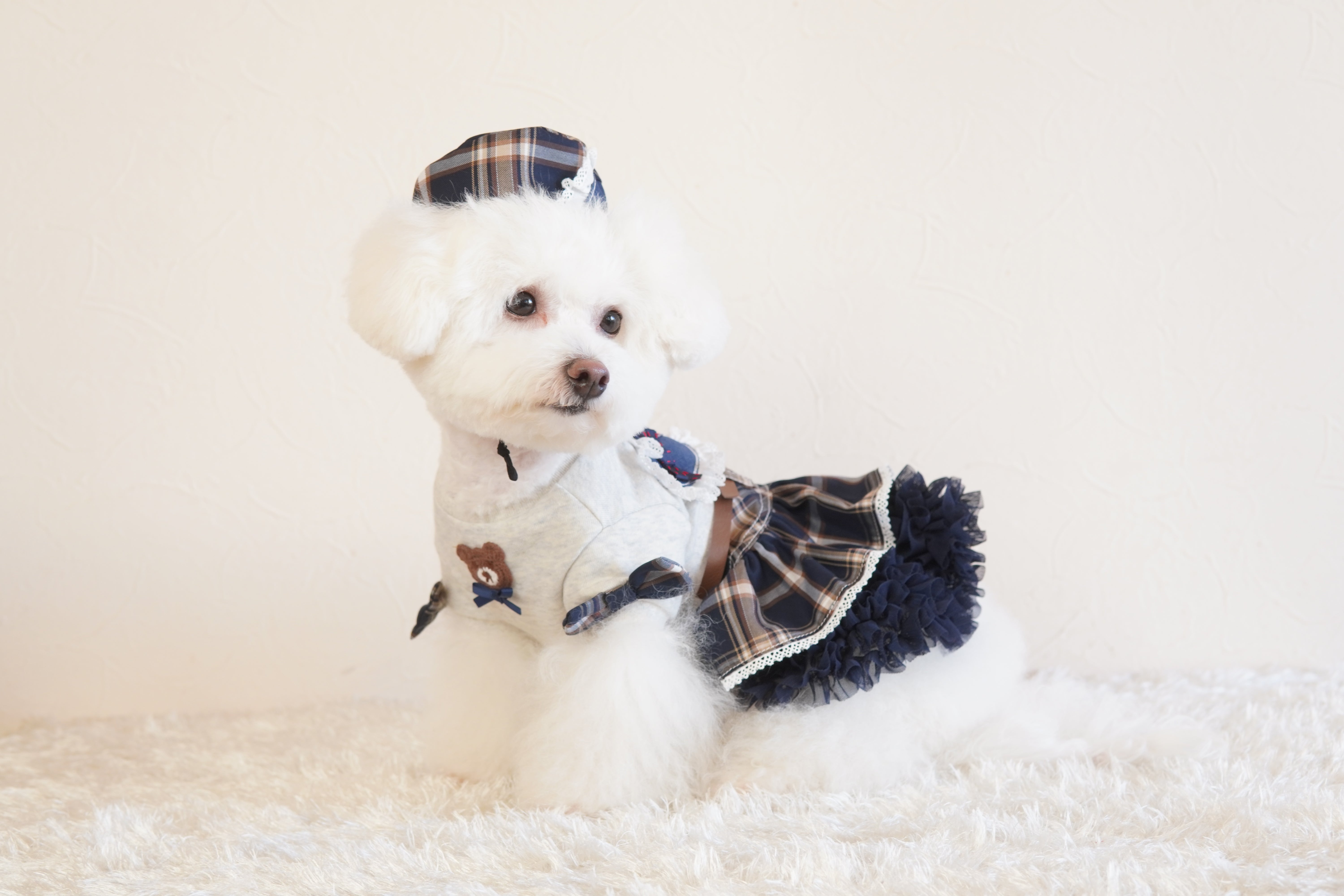 LatteDaysワンピース – Candy Buppie Online