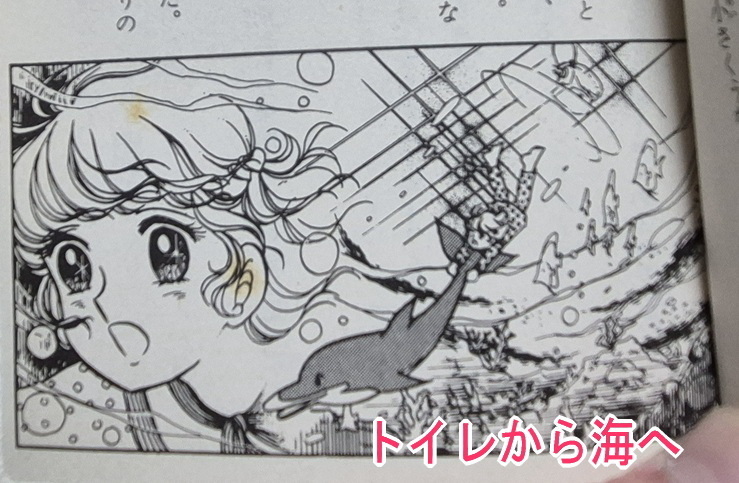 イルカ・トイレ』 トイレが海につながった世界: 『キャンディ