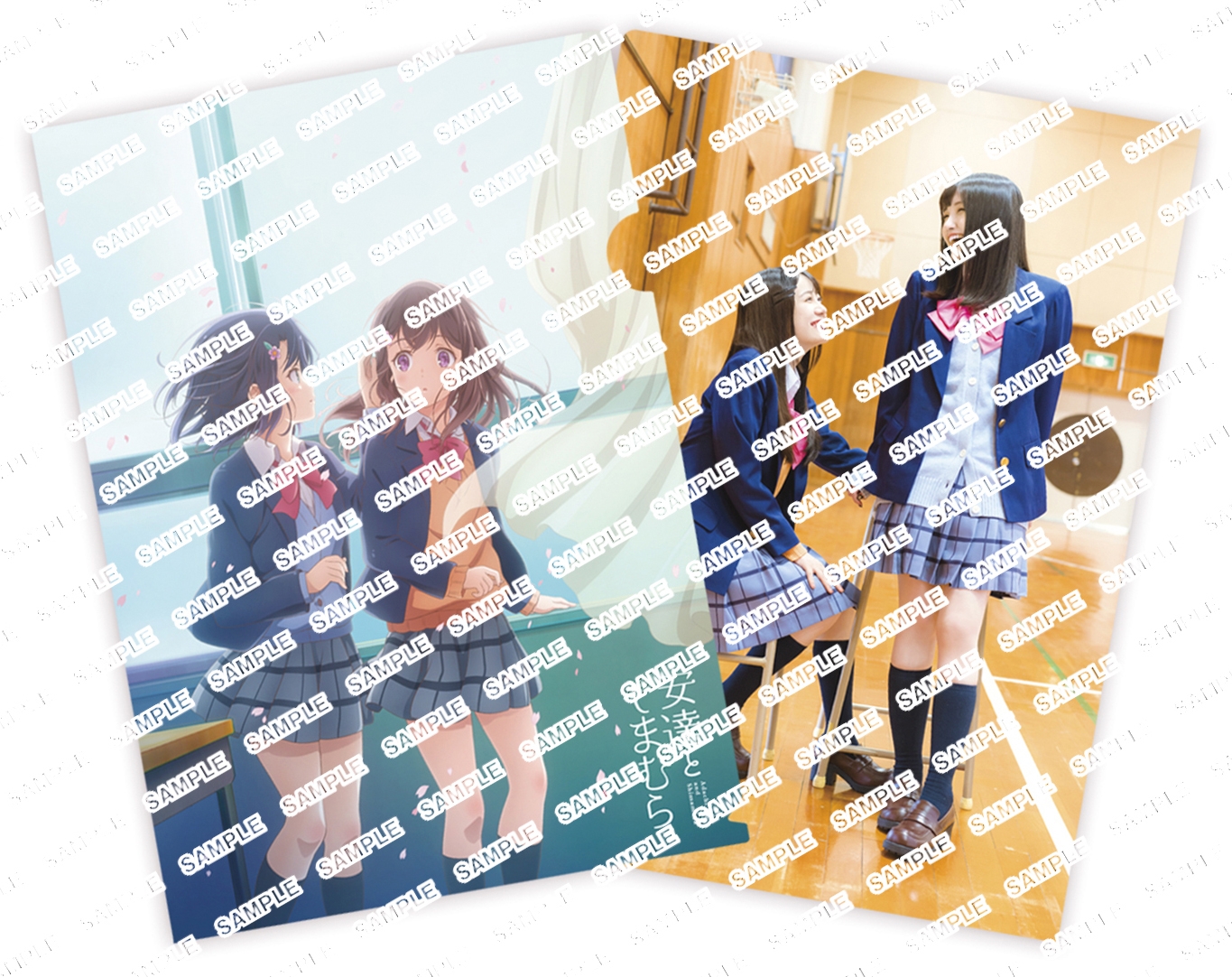 安達としまむら 3 | きゃにめ