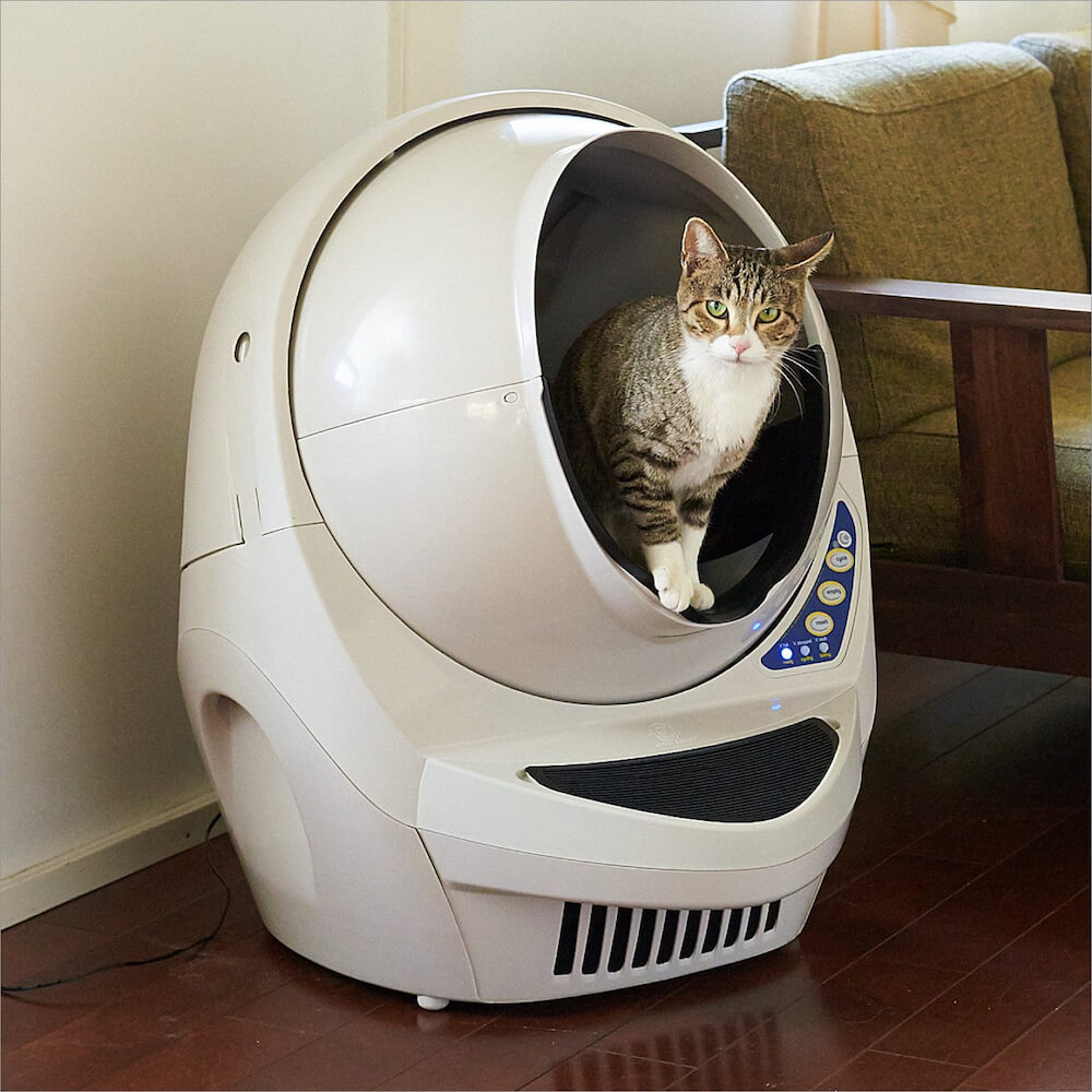 球形のフォルムが美しい、最先端の自動猫トイレ「CIRCLE 0(サークル