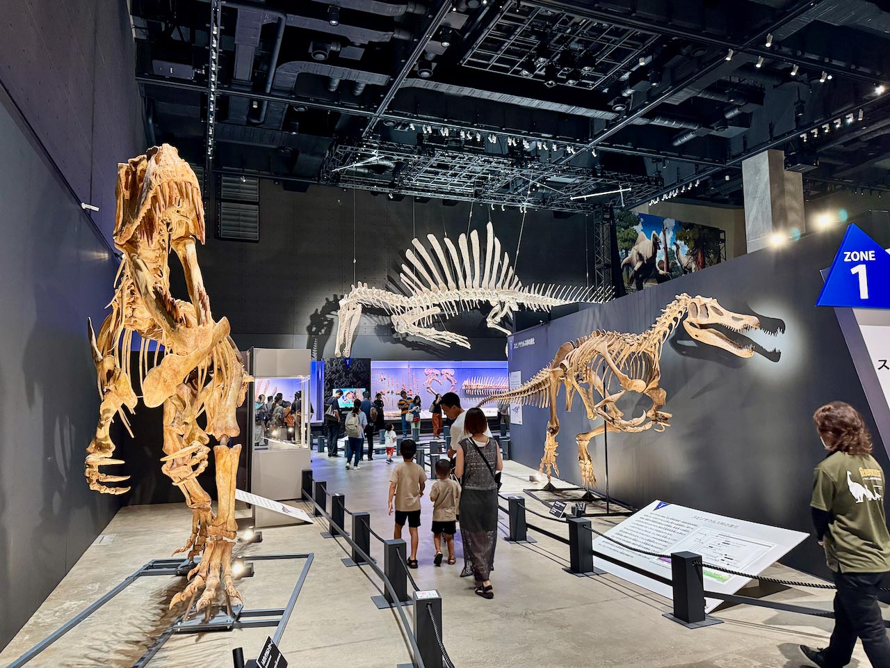 福井の恐竜4種から進化に迫る！ 特別展「獣脚類2025」の見どころを研究