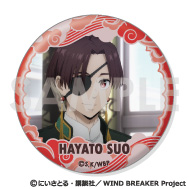 WIND BREAKER ウィンブレ 蘇枋隼飛 バースデー 缶バッジ 8枚セット TV