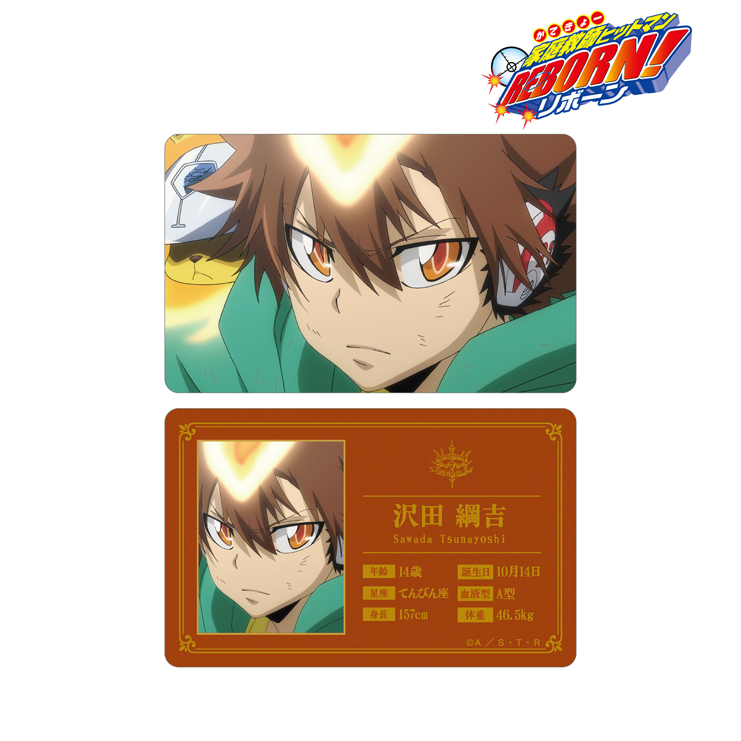 REBORN CCG 沢田綱吉 カード 家庭教師ヒットマンREBORN!_沢田 綱吉