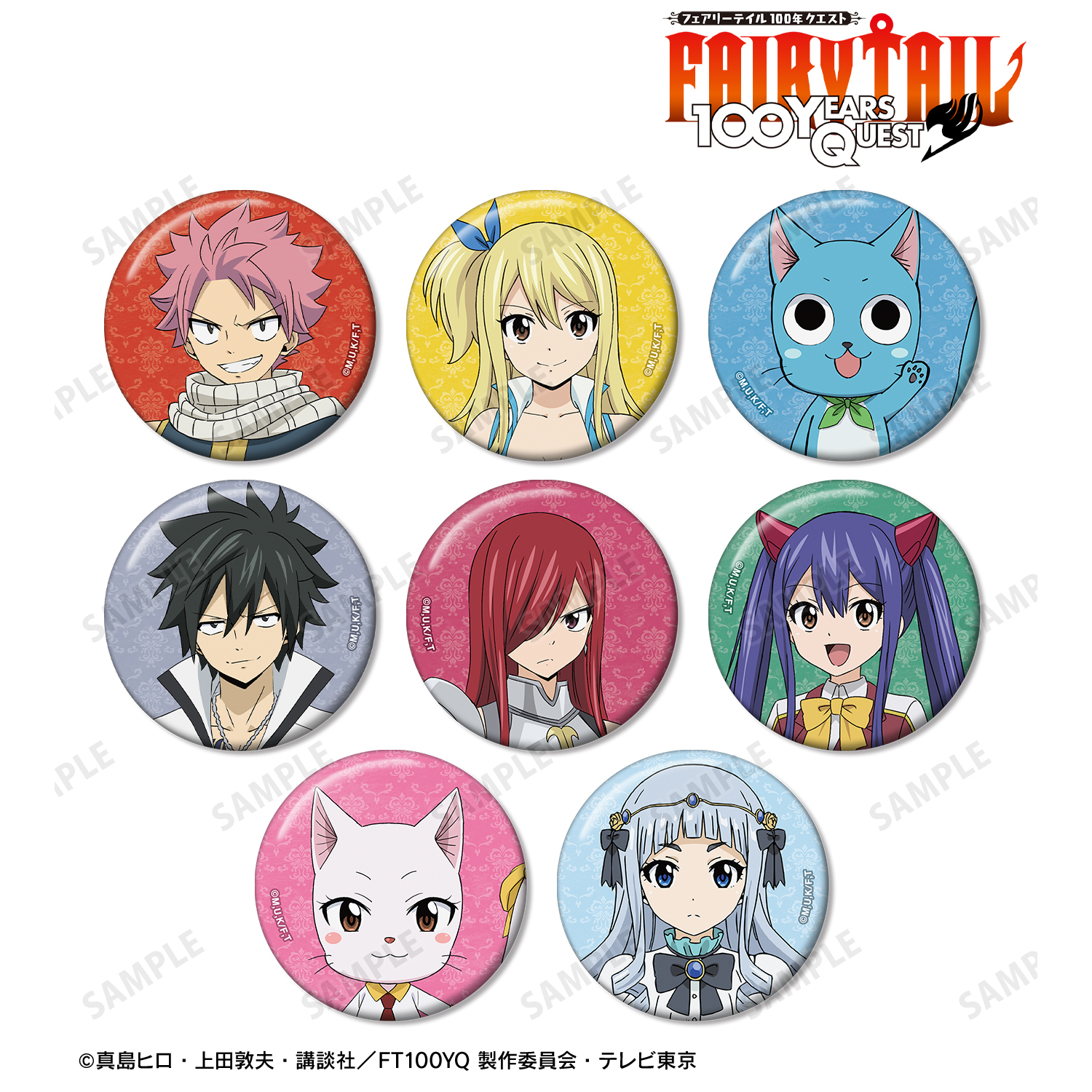 フェアリーテイル FAIRYTAIL ナツ ハッピー アクキー 缶バッジ FAIRY