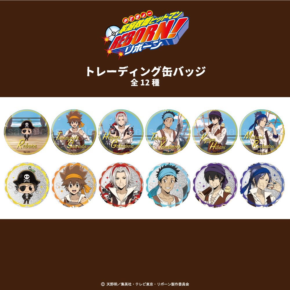 天野明展 家庭教師ヒットマンREBORN!缶バッジver.B 18種コンプリート