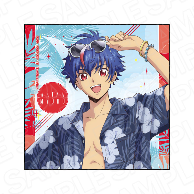 カードファイト!! ヴァンガード Divinez デラックス決勝編_マイクロ