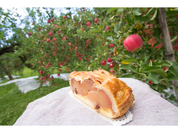 茨城県・久慈郡】【入園＋試食付＋アップルパイ＆ドリンクセット