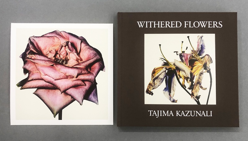 WITHERED FLOWERS（特装版）C - 田島 一成 | AKIO NAGASAWA