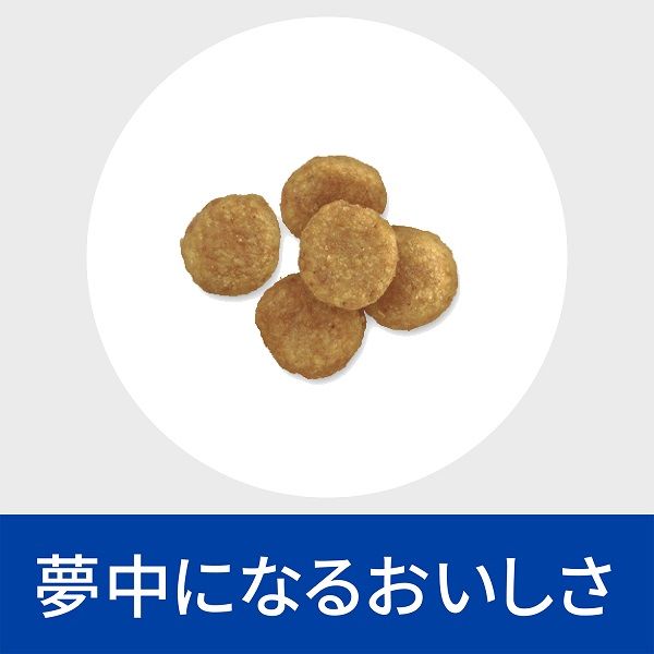 プリスクリプションダイエット c/dマルチケア 小粒 犬用 療法食 尿ケア