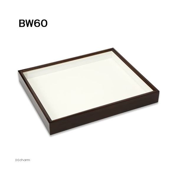 バードウィング バードウィング製 ドイツ型標本箱 BW60 2250001730446