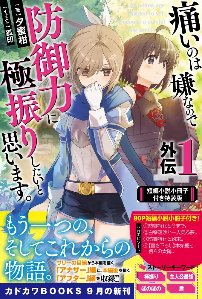 痛いのは嫌なので防御力に極振りしたいと思います。 外伝1 短編小説