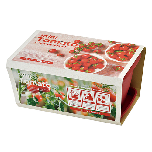 聖新陶芸 エンジョイプランター べジ ミニトマト GD931−02｜【ハンズ