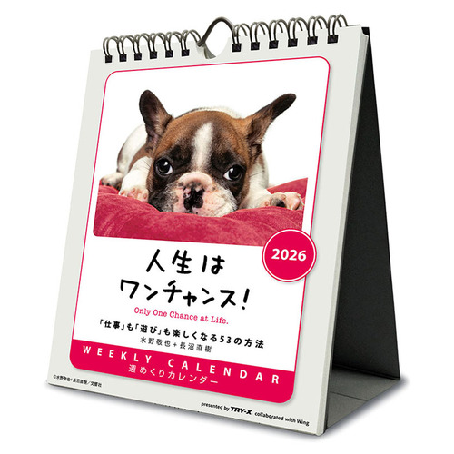 ①『犬』 卓上チャリティーカレンダー10枚セット 2026年（令和8年