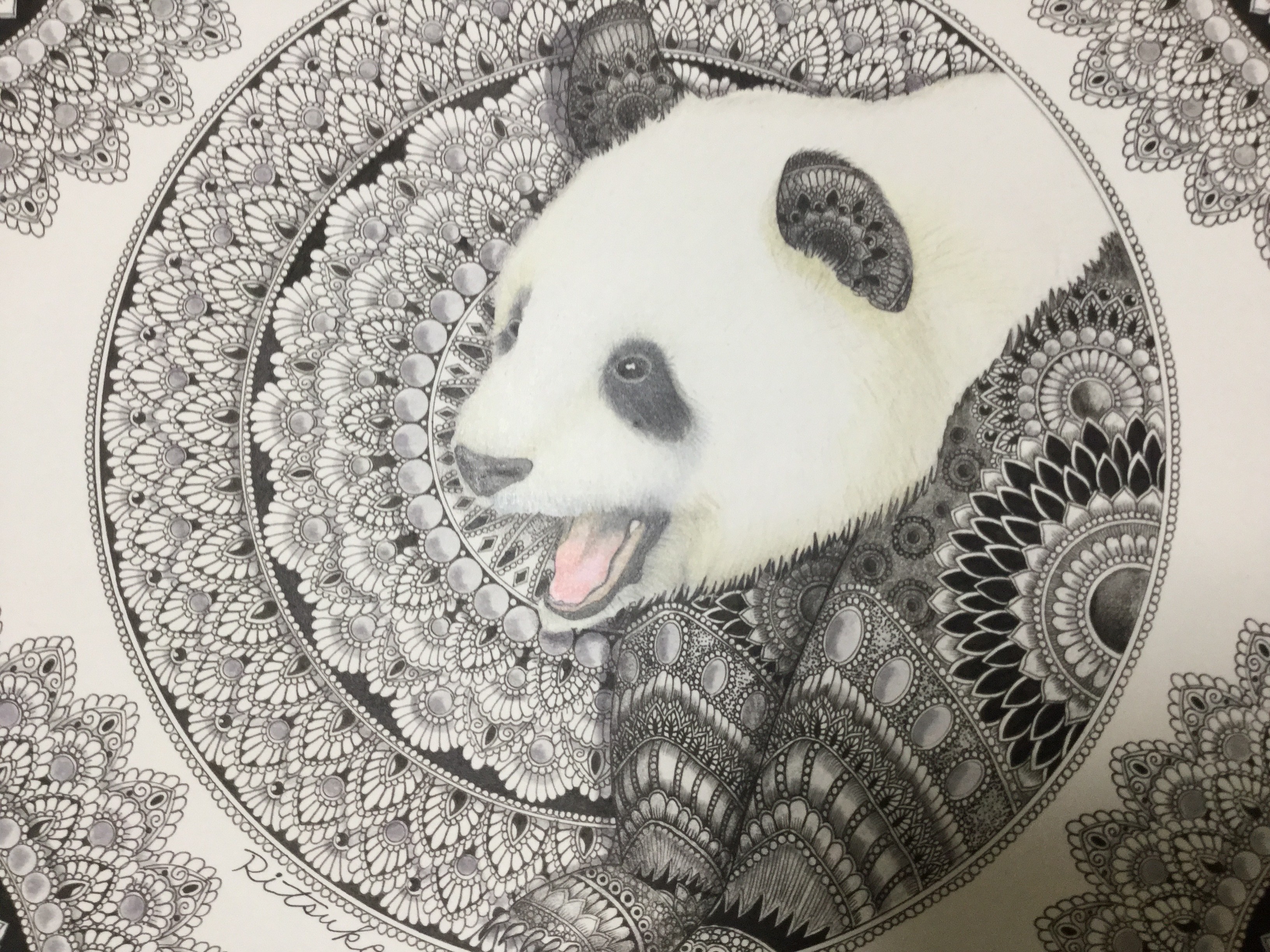 肉筆 水墨画 動物画 （パンダ）