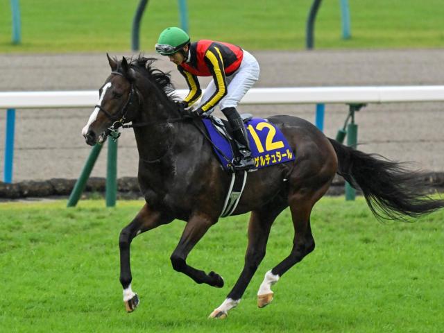 コスモバルク 弥生賞 2004年03月07日 弥生賞 G2 | 重賞ウィナー