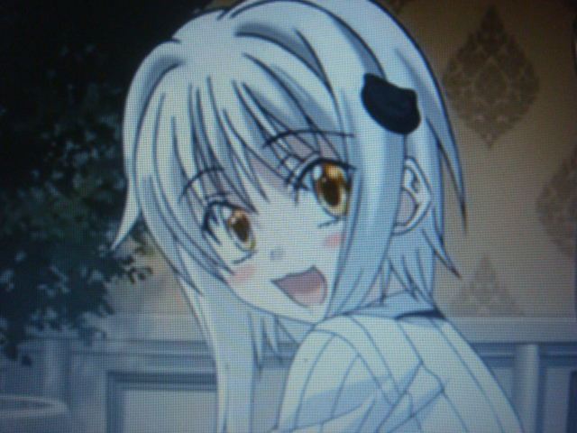 プリズムコネクト ハイスクールD×D 塔城小猫 箔押しサイン 竹達彩奈