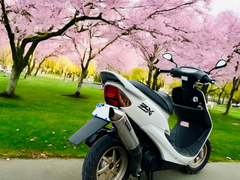 ライブディオZX、散財する。｜田なっくすのブログ｜田なっくすのページ