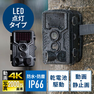 デジタルトレイルカメラ LCK1919 熊 害獣 監視カメラ デジタルトレイル