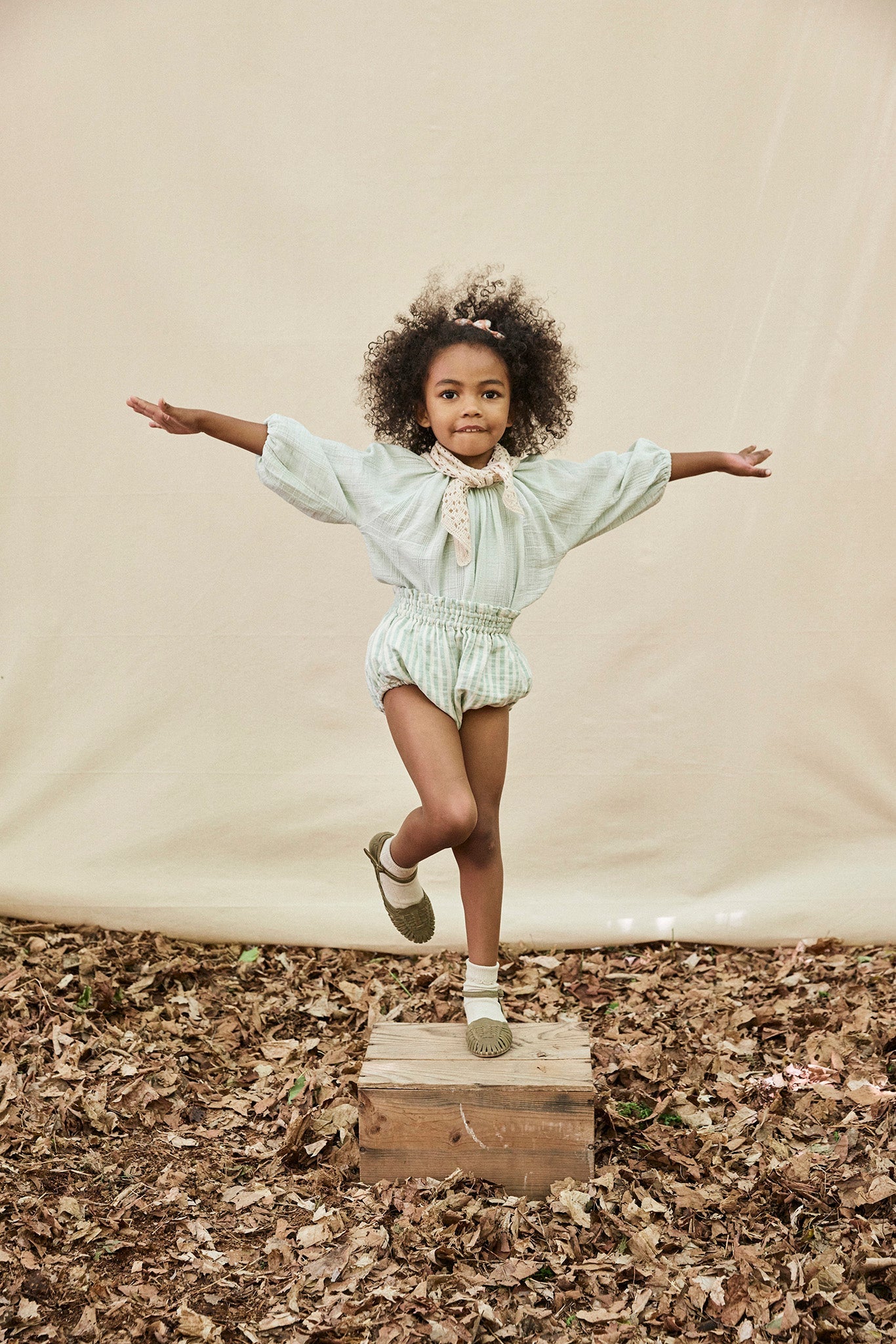 Soor ploom Dahlia smock eucalyptus つけ襟 HOT ! soor ploom smock