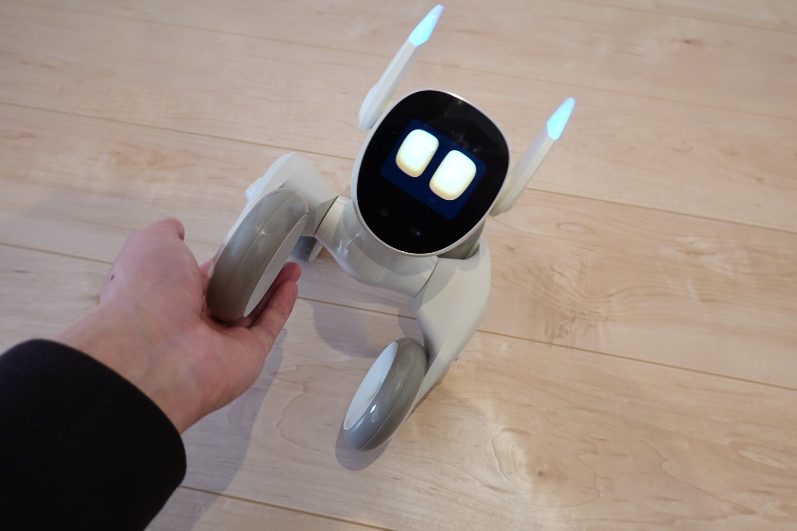 Loona Blue (ルーナ) 使用レビュー！アプリ連携も優秀なAI搭載ペット