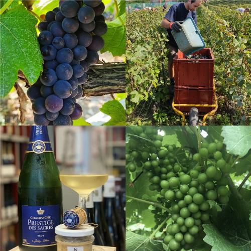 プレスティージュ デ サクレキュヴェ グルナ ミレジメ 2015 750ml