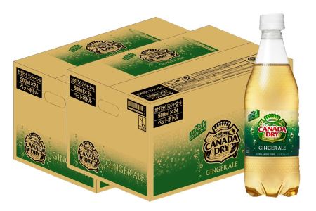 A4-077F カナダドライジンジャーエール 500mlPET 2ケース（48本）の
