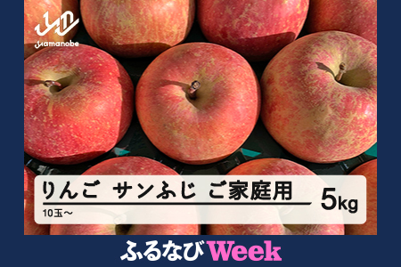 先行予約】りんご サンふじ ご家庭用 2026年産 ◯秀品程度 約5kg(10~20