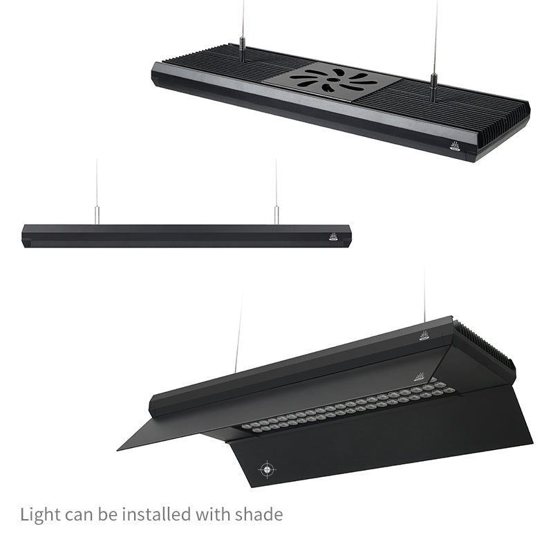 WEEK AQUA Z Series – Cherries Nature Aquarium