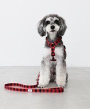 SHUNA_HS_LEASH_180x.jpg?v=