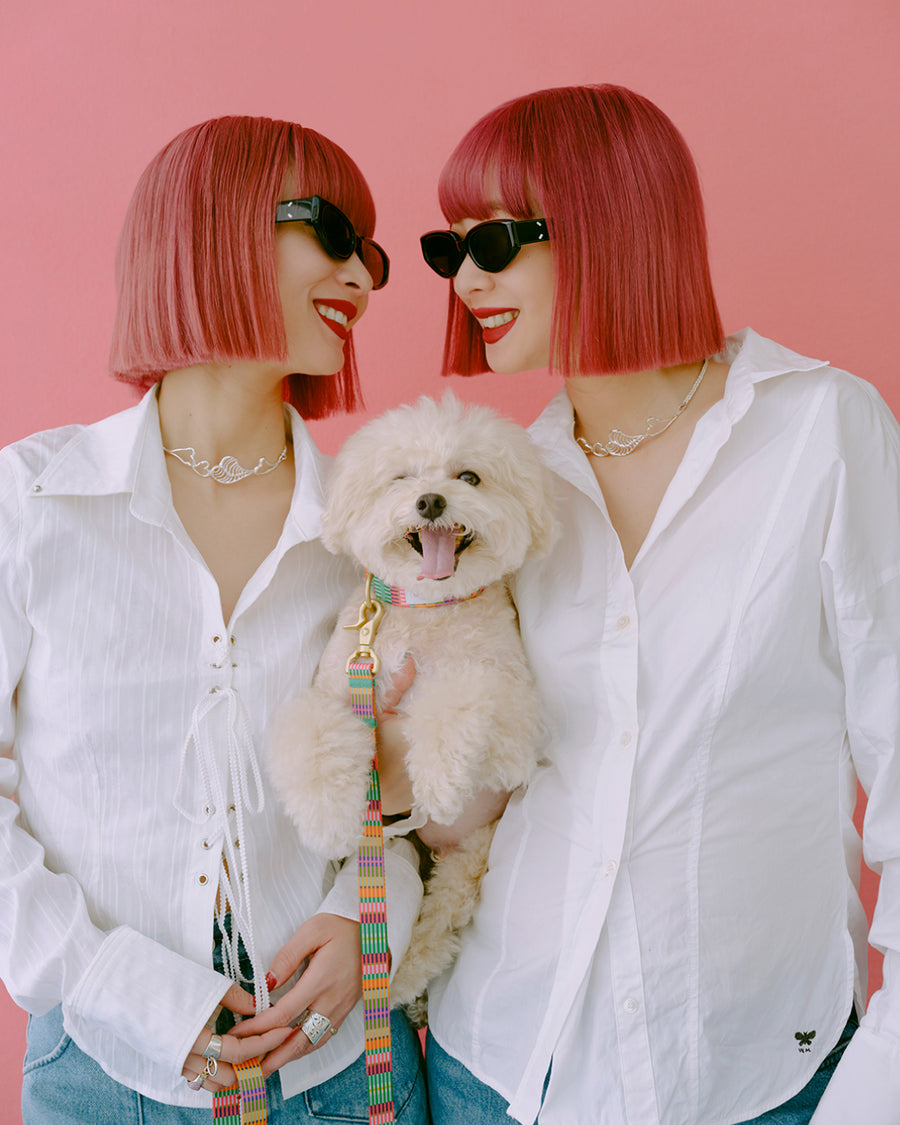 ciiron tokyo ハーネス リードセット AMY 犬用品 ciiron tokyo リード AMY