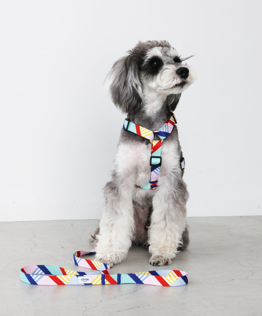 ハーネス Daisy – ciiron tokyo