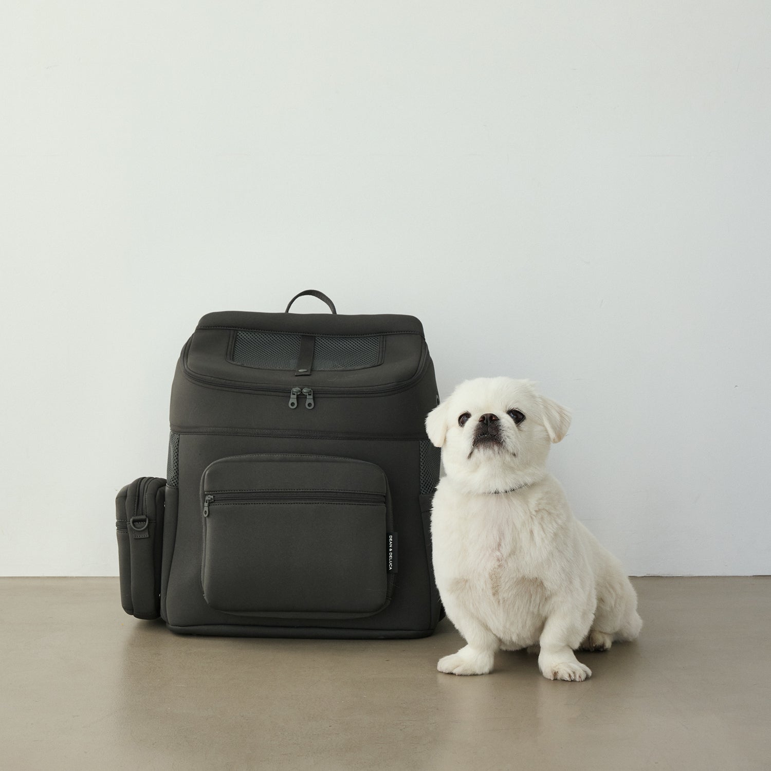 DEAN ＆ DELUCA ｜ CITY DOG バッグパックキャリー – CITYDOG