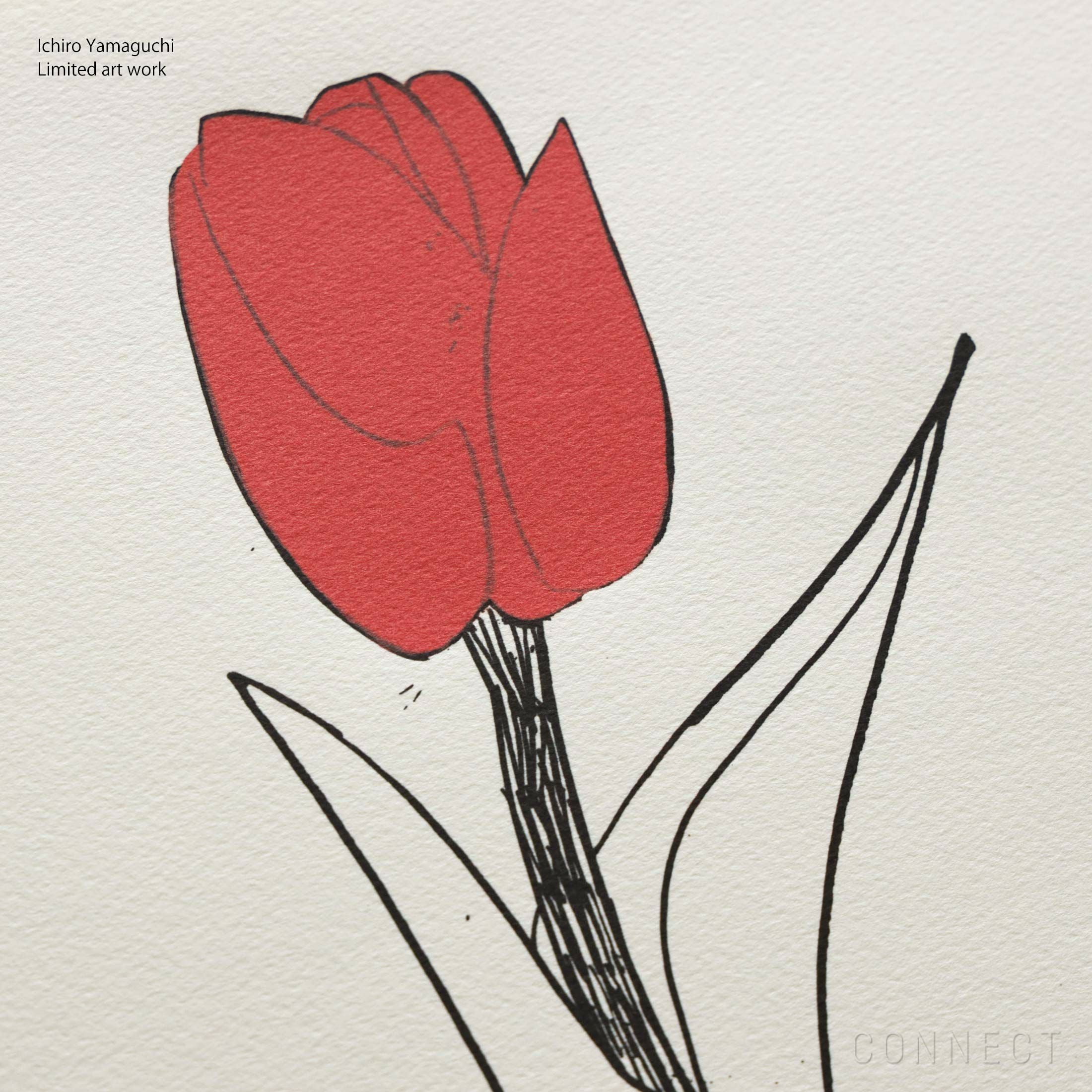 山口一郎 / Giclee（ジクレー印刷）「チューリップ」 / Sサイズ