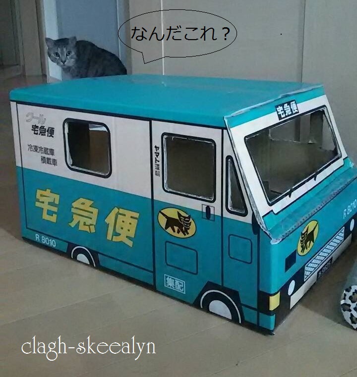 クロネコヤマト「ウォークスルーボックス」で猫ハウスを作ってみた