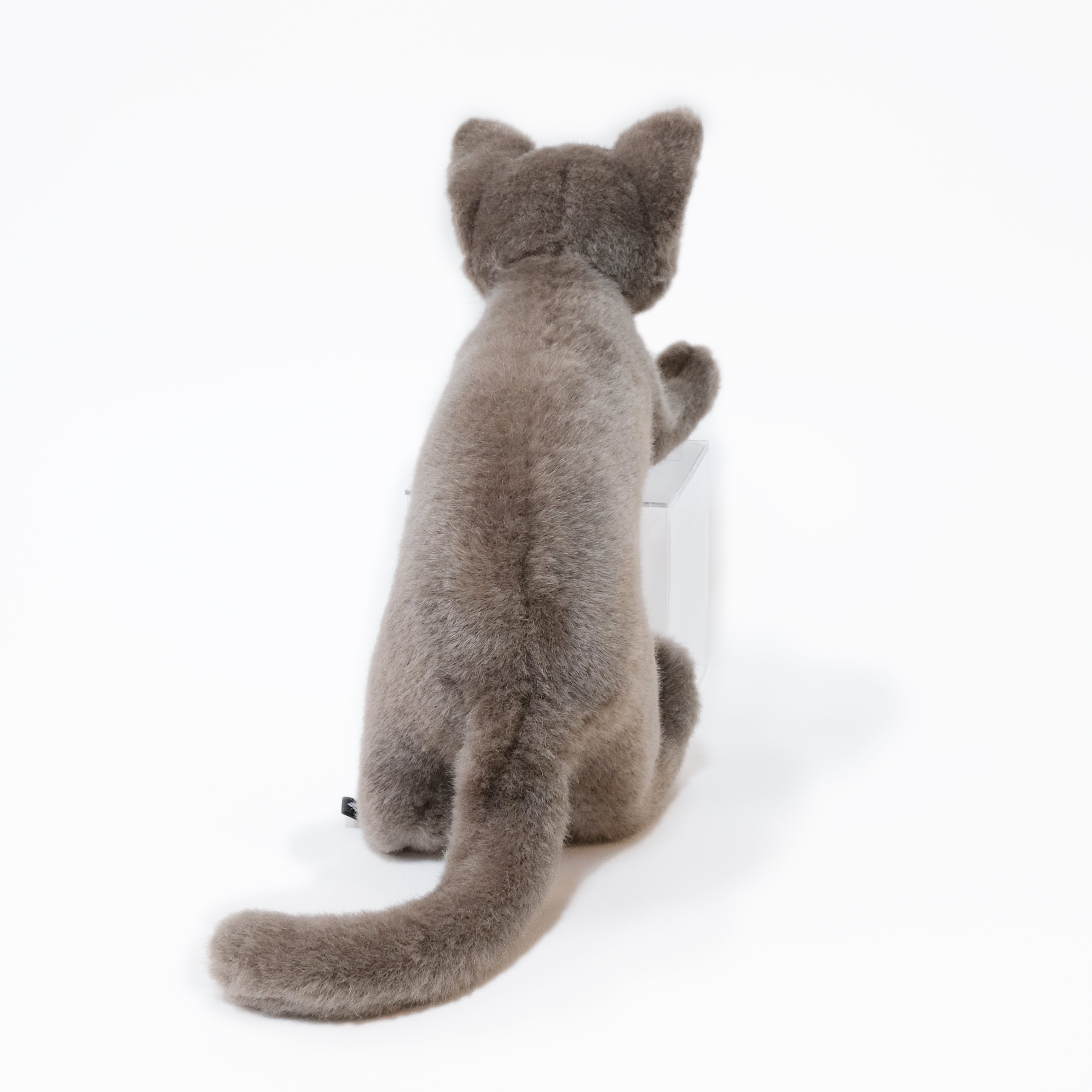 ミスチーフ ワビ助 Mischief Wabisuke 猫のぬいぐるみ 仔猫 – Cuddly