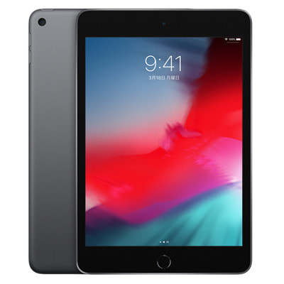 iPad mini5 256GB スペースグレイ MUXC2J/A 卸売 通販