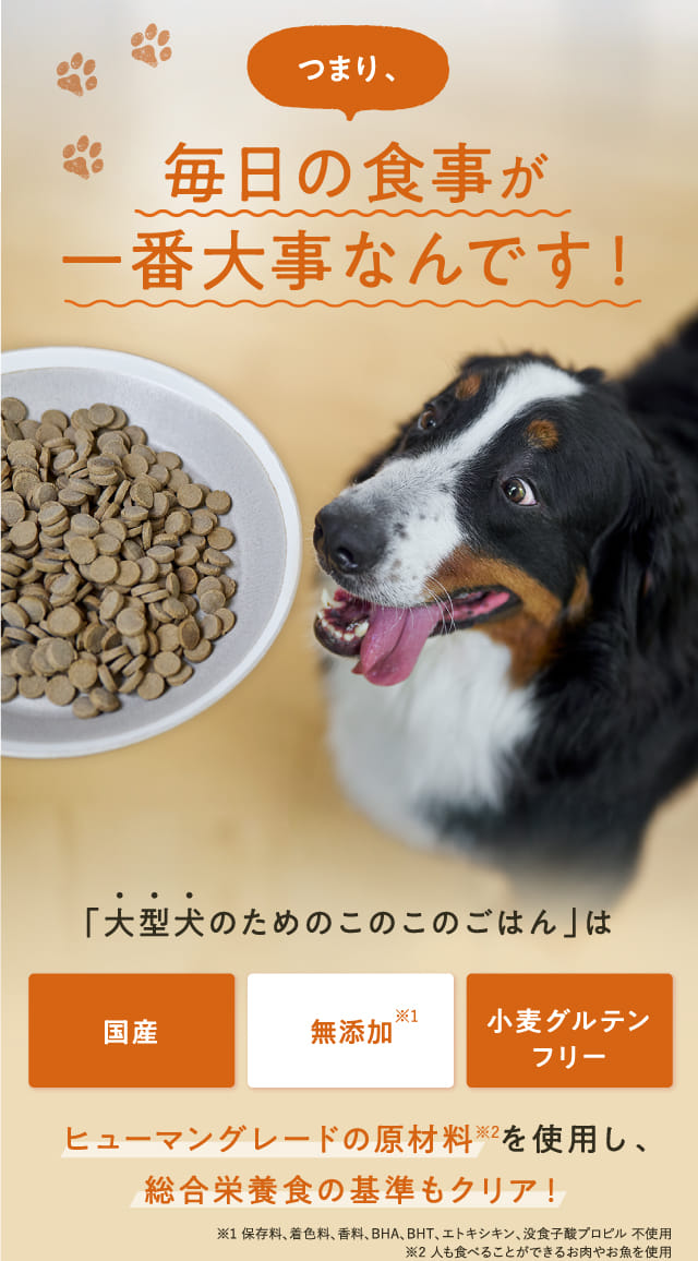 大型犬のためのこのこのごはん｜コノコトトモニ