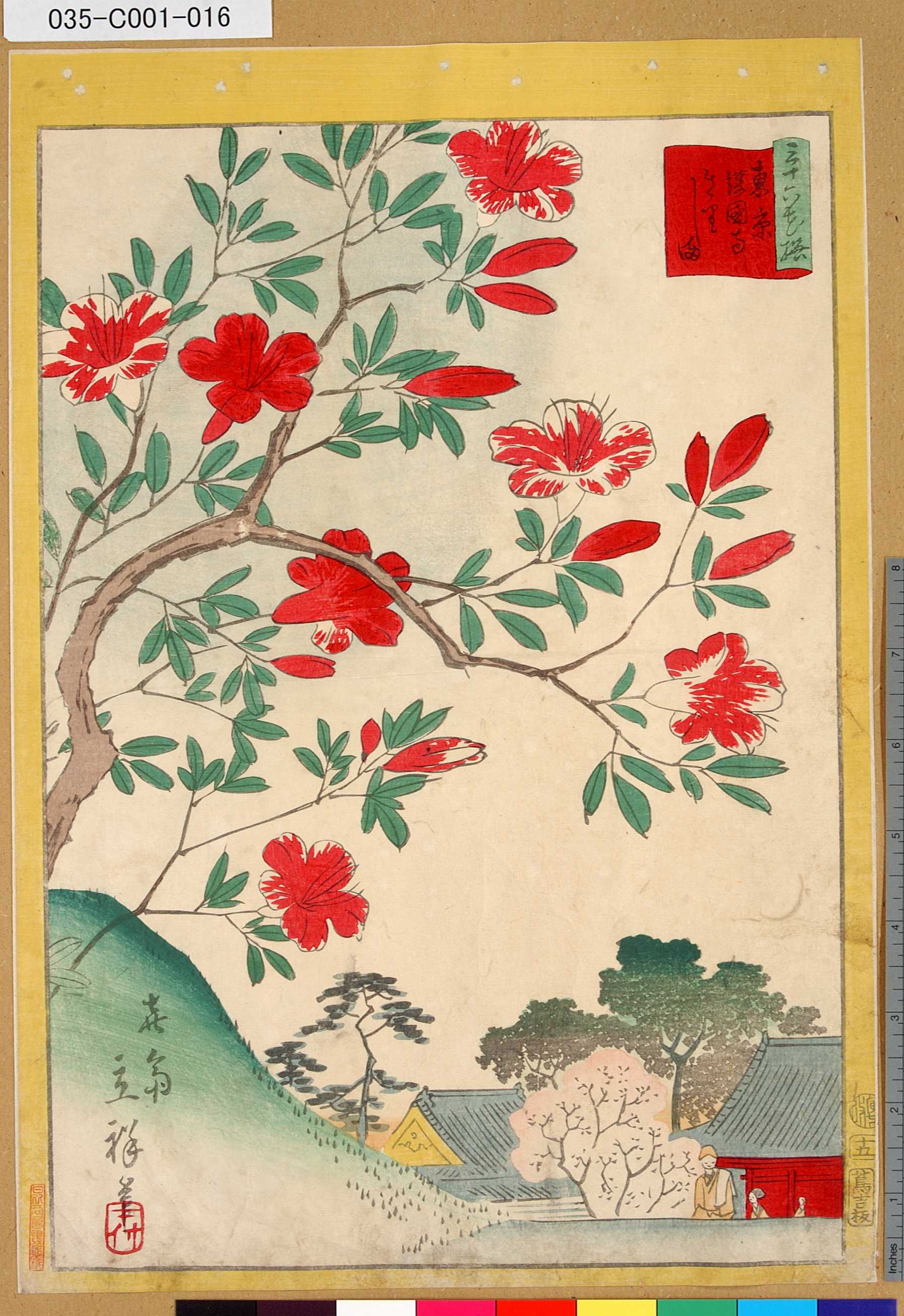 版画 オリジナル版画 無款 真贋保証 原書房(神田) 玉屋 花紫 花魁 江戸
