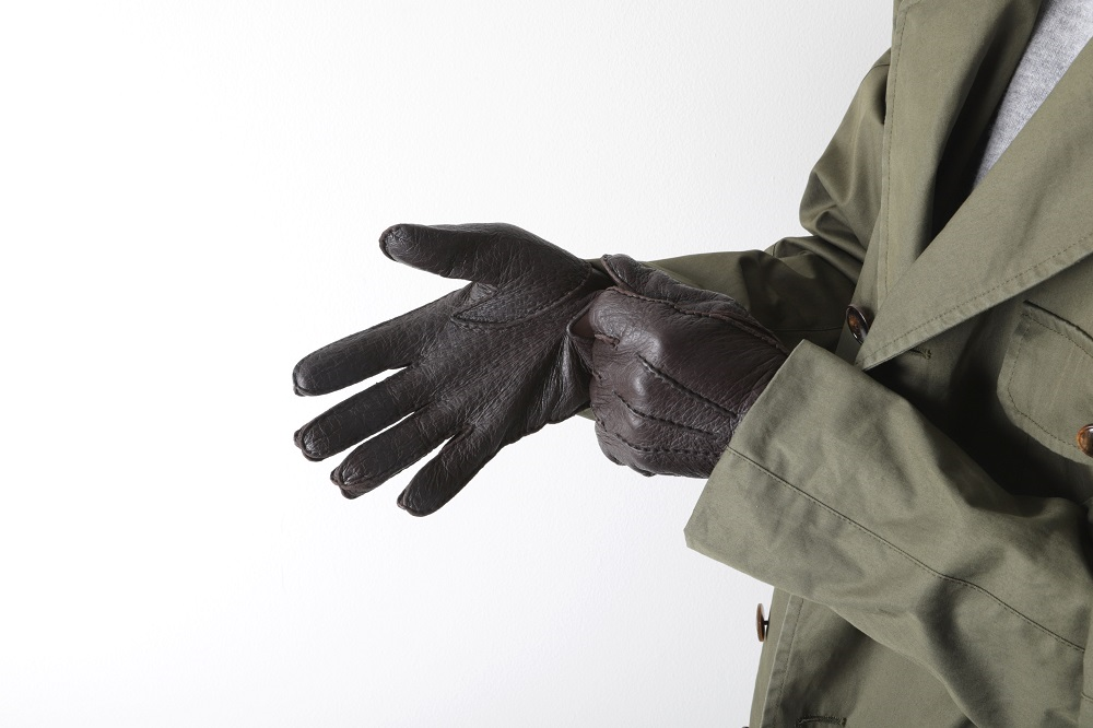 Peccary (ペッカリー) Gloves - News | DENTS（デンツ）