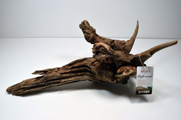 商品情報 デルフィス