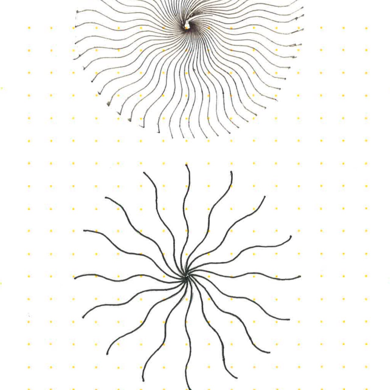 伊藤隆道｜21_21 DESIGN SIGHT企画展「㊙展 めったに見られない